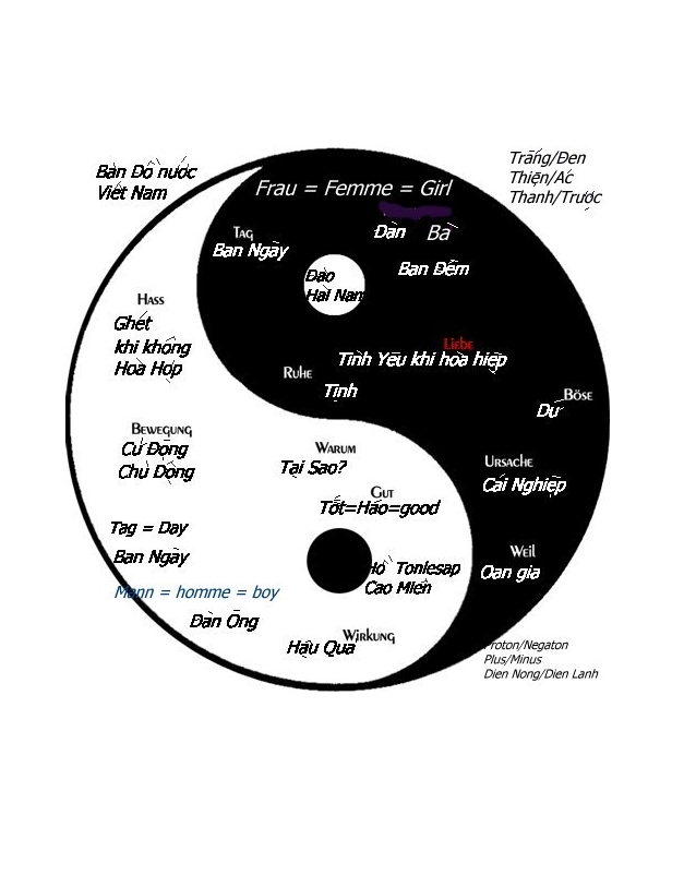 What Can Yin and Yang  Offer Man