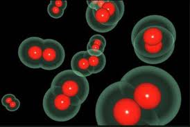 Proteins Shine Light On Cellular Processes