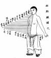 The Practice of Acupuncture
